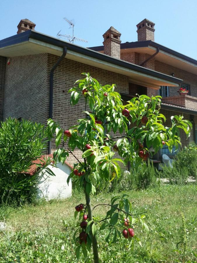 B&B Casa Dei Camini Bentivoglio Bagian luar foto