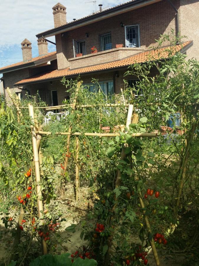 B&B Casa Dei Camini Bentivoglio Bagian luar foto