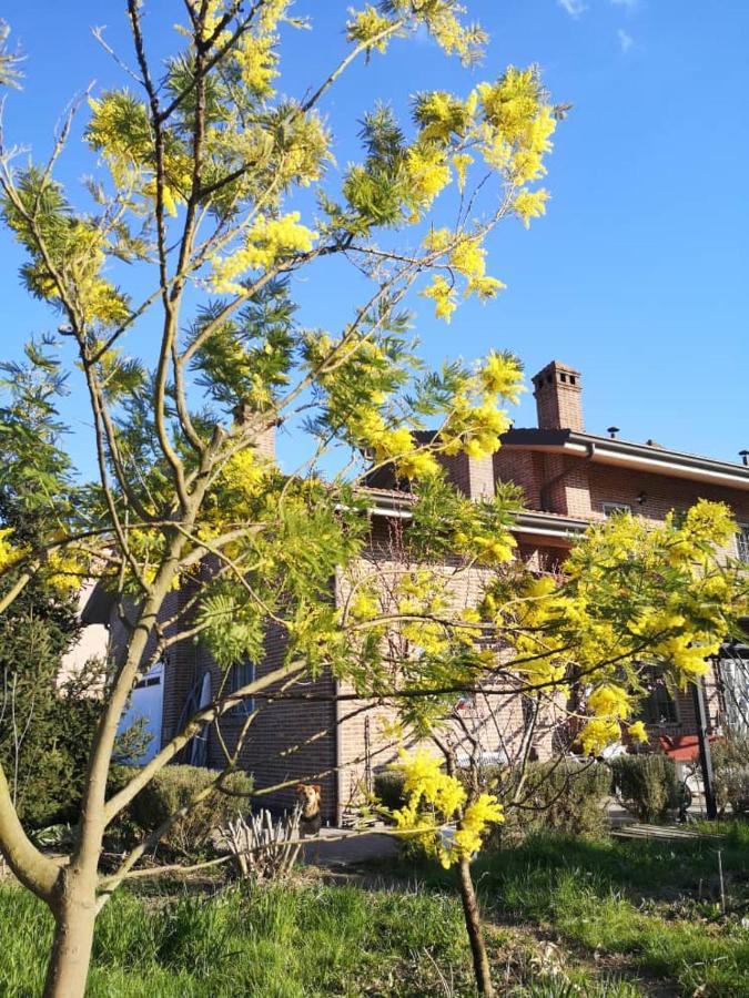 B&B Casa Dei Camini Bentivoglio Bagian luar foto